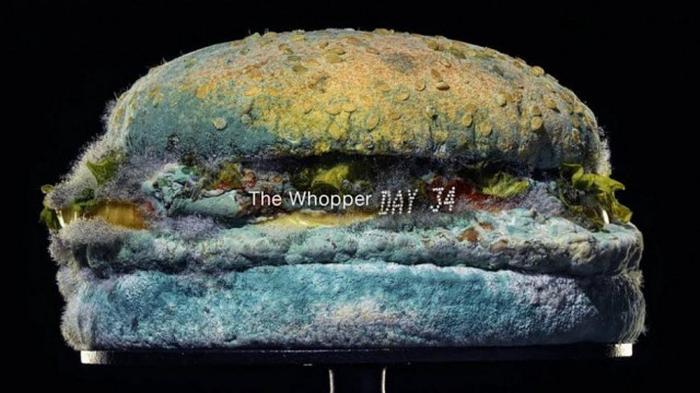 2020 버거킹 광고 ‘곰팡이 슨 와퍼(The Moldy Whopper)’