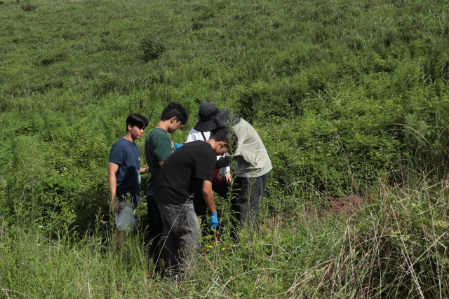 2025 제주 금오름 복원 프로젝트 진행 현장